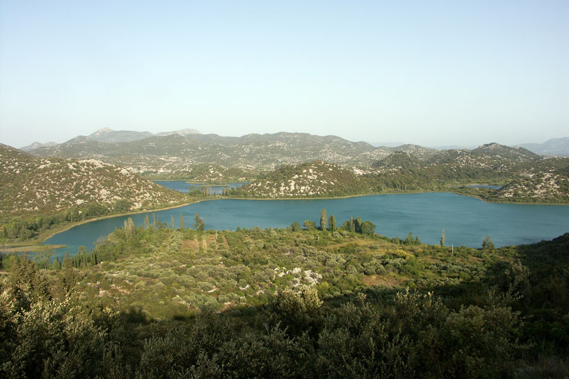Obraz 242